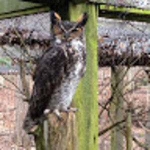 Meet your Posher, Tina